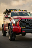 2022-Current Toyota Tundra Fender Flare Kit