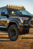 2023-Current Toyota Sequoia Fender Flare Kit