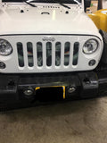 Always Watching Grille Insert