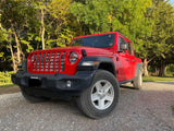 Dirty Grace Grille Insert