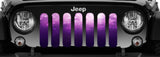 Ladies Night Purple & Pink Ombre Grille Insert