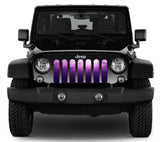Ladies Night Purple & Pink Ombre Grille Insert