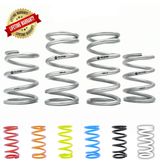 Polaris RZR TENDER Spring Kit | MTS Offroad
