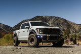 2021-Current Ford F-150 Raptor Rock Sliders