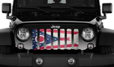 Ohio Grunge State Flag Grille Insert