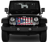 Ohio Grunge State Flag Grille Insert