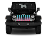 Pink and Teal Compass Grille Insert