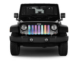 Rainbow Chrome Grille Insert