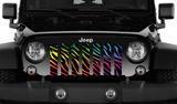 Rainbow Zebra Print Grille Insert