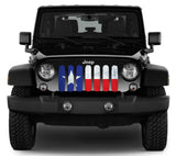 Rustic Texan State Flag Grille Insert