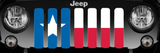 Texas State Flag Grille Insert