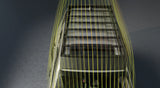 2025-Current Toyota 4Runner Roof Rack