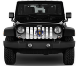 Waving Massachusetts State Flag Grille Insert