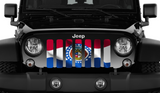 Waving Missouri State Flag Grille Insert
