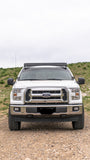 Ford Raptor / F150 Prinsu Roof Rack