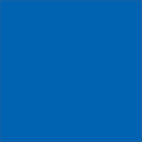 Printed Series Center Grab Handle Stripe Overlay - 2021+ Bronco Raptor (Carbon Fiber)