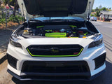 Subaru WRX STI S208 Type RA Style Grille Pinstripe - 2018-2021 WRX / STI
