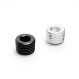 NPT Plug
