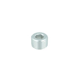 NPT Plug